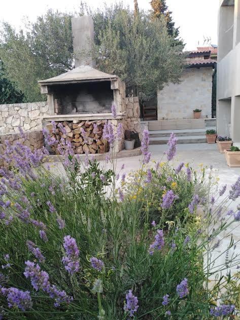 Apartmani Morovi Dvori Drage Exterior photo